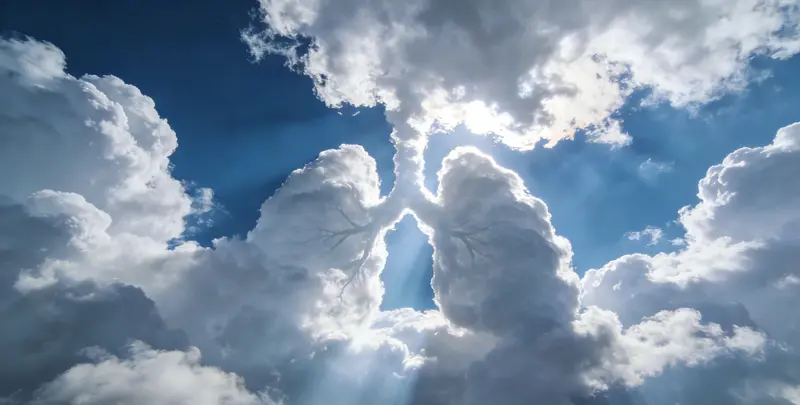 鹤岗肺癌11基因检测组织版图片1